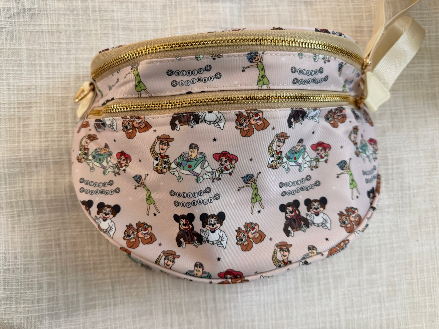 Hollywood Studios Inspired Crossbody Bag | Theme Park Ready RTS